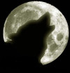 Moonlogo